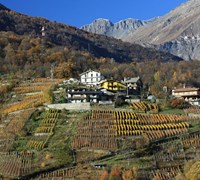 Agriturismo Cré Seren e Azienda Agricola Martina