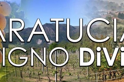 Ad Almese arriva la Sagra del Baratuciat 2022, "Vitigno DiVino"