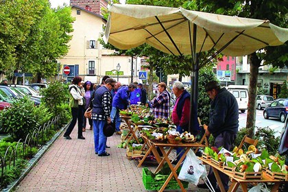 Mercato dei funghi a Giaveno, in piazza Molines, 2013_0.jpeg