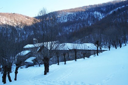 Abbazia Monte Benedetto.JPG