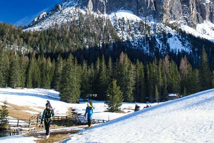 1000 sci alpinismo_0 1000 sci alpinismo_0.jpg