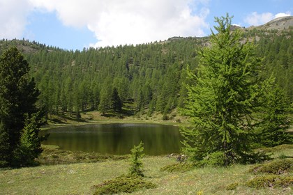 Dal Lago Foiron al Col Saurel, un'escursione nei colori dei larici e dei rododendri