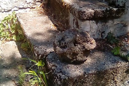 cover Maciafer cover Maciafer.jpg