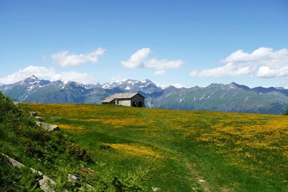 Pian dell’Orso, la località che deve il nome a due orsi catturati nel 1377