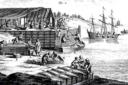 Cover merluzzo Il merluzzo nelle Alpi e le ricette storiche di Vialardi e Chapusot