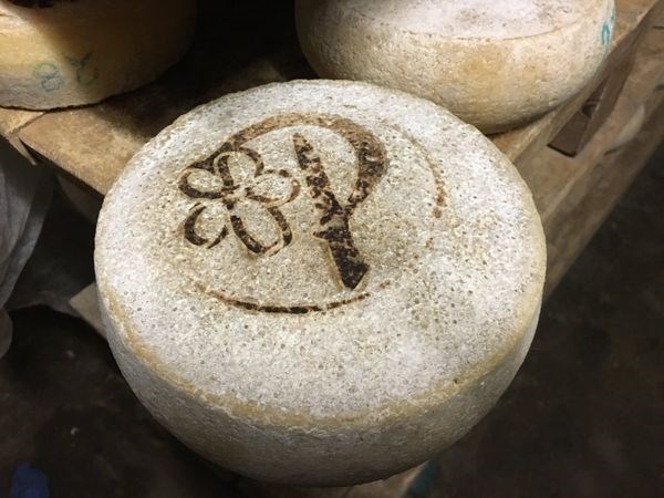 IL DISTRETTO DEL CIBO MONTANO DELLE ALPI GRAIE E COZIE SI PRESENTA A TERRA MADRE 