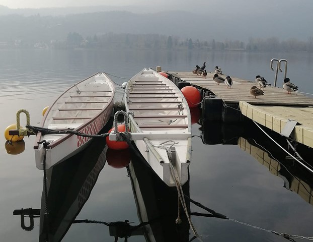 In attesa dell' imbarco orizz🦆 Lago Grande_ Avigliana - Lauretta Olivero In attesa dell' imbarco orizz🦆 Lago Grande, Avigliana - Lauretta Olivero.jpg