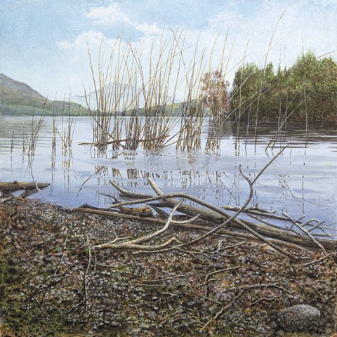 lago lago.jpg