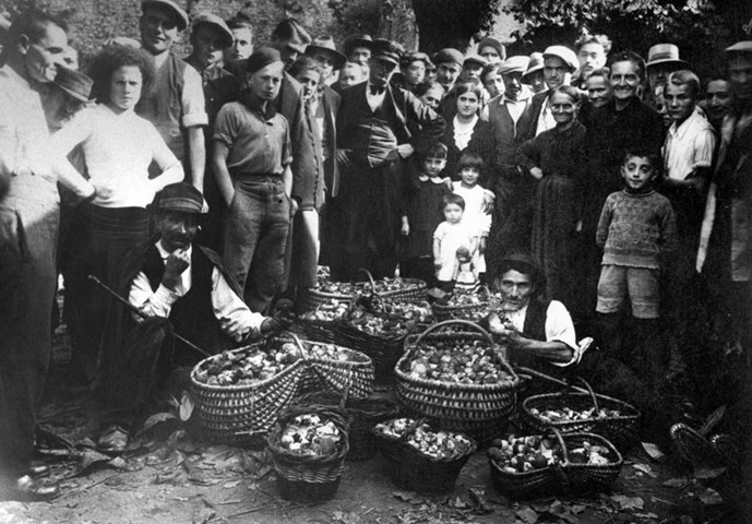 funghi_via_breccia2 funghi_via_breccia2.jpeg