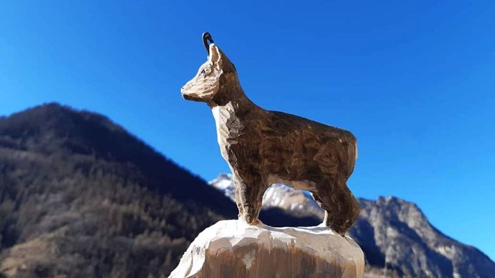 Agri 8 camoscio Agri d’Oc