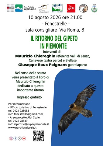 Il ritorno del gipeto in Piemonte