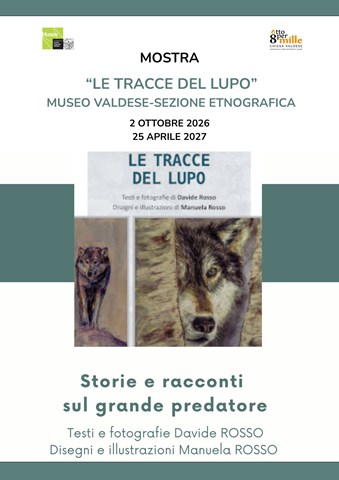 Le tracce del lupo