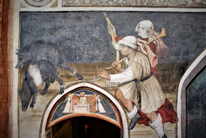 "Hic sunt Viperae": alla scoperta degli animali a Sant’Antonio di Ranverso