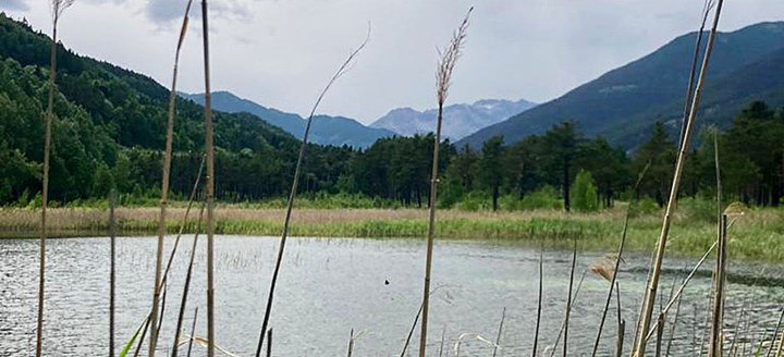 Cover lago borello La Riserva naturale dello stagno di Oulx