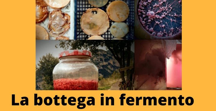 La bottega in fermento