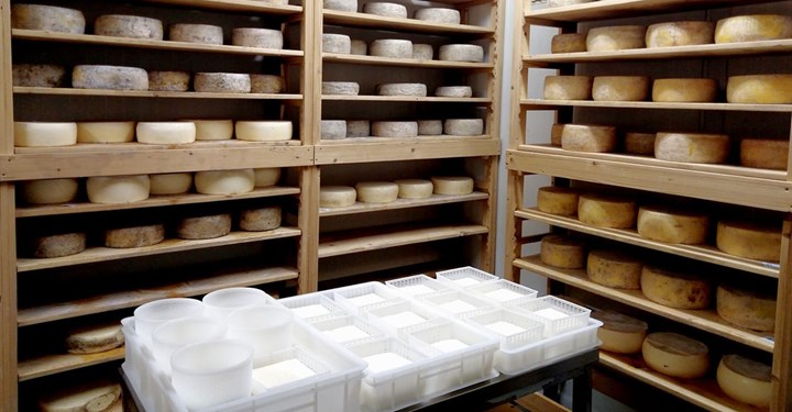 Cover Cantina di stagionatura Cover Cantina di stagionatura.jpg