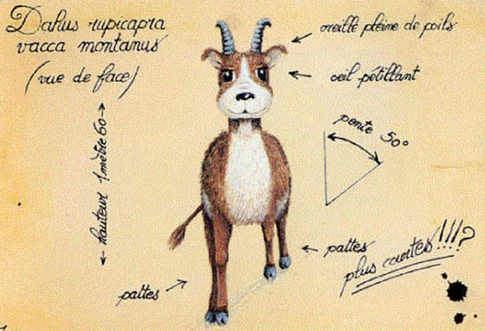 dahu-front_0 dahu-front_0.jpg