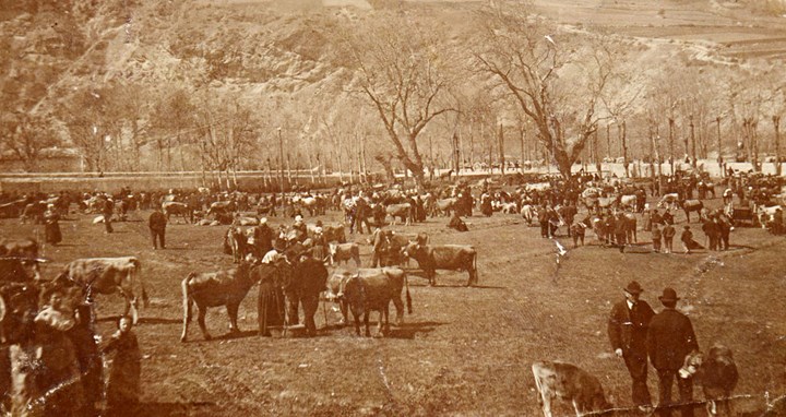 Cover Fiera Franca di Oulx - Foto di Cesare Augusto Prat La Fiera Franca di Oulx: una tradizione che risale al 1494