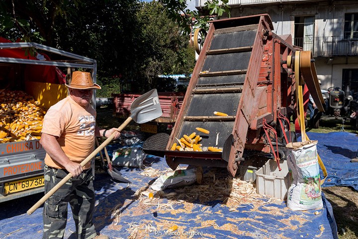 2017_Gusto di Meliga2 2017_Gusto di Meliga2.jpg