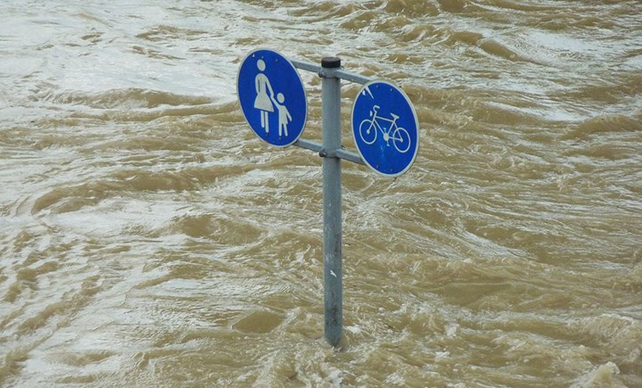 acqua alta acqua alta.jpeg