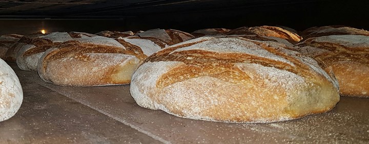 Il pane e le farine: quando si panificava nel forno comune