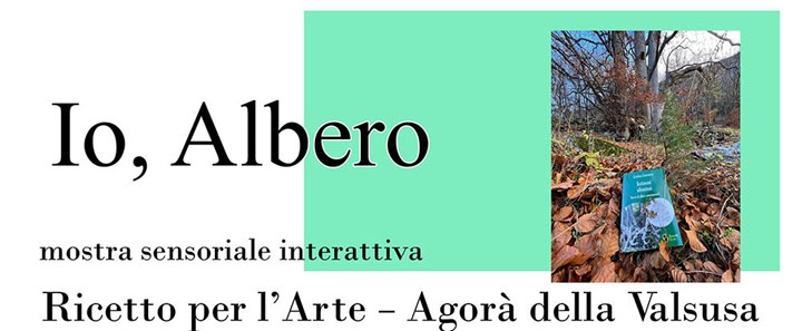 Ad Almese "Io albero", mostra sensoriale interattiva