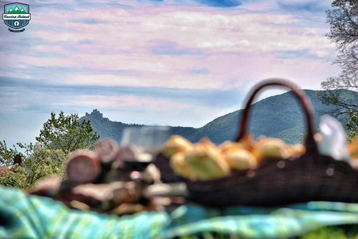 pic nic pic nic.jpg