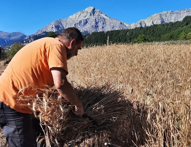 Giorgio Cover AZIENDA AGRICOLA GRAN CHARLE
