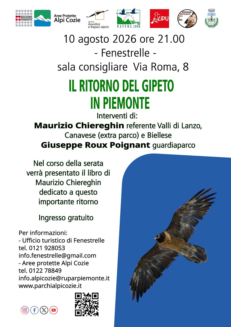Il ritorno del gipeto in Piemonte