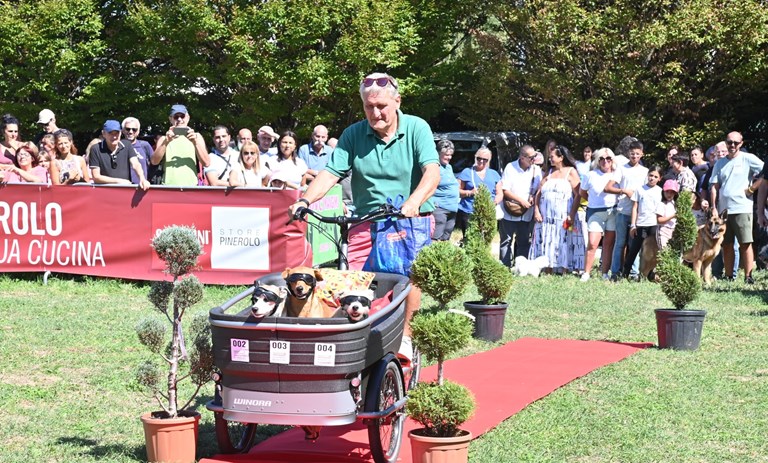 Fiera di San Donato 2026