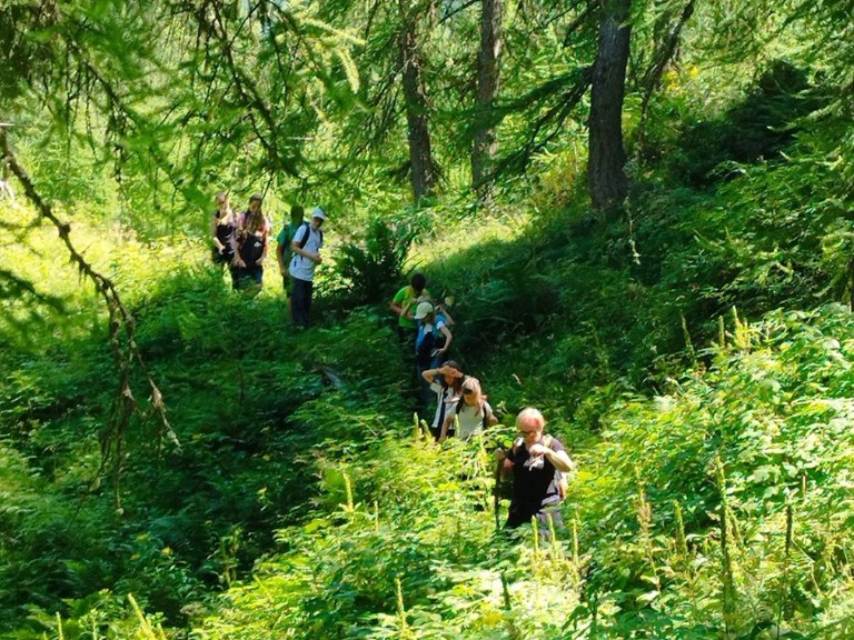 I giovedi dell'avventura