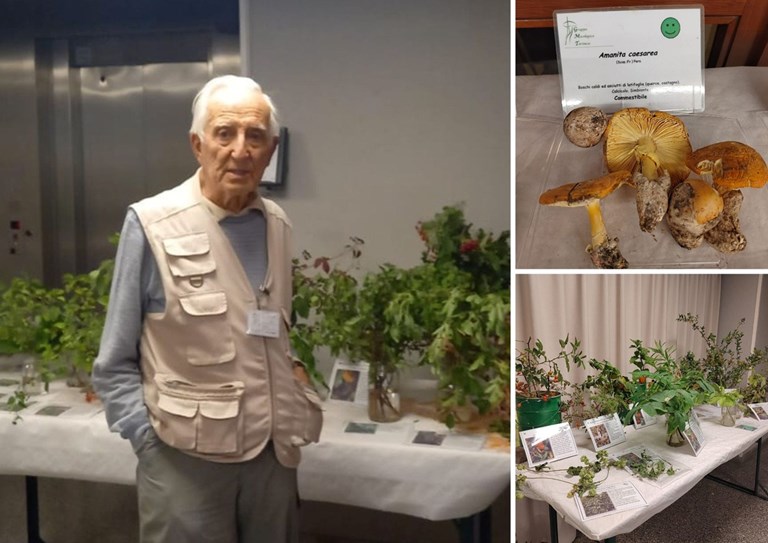 Mostra micologica 2026