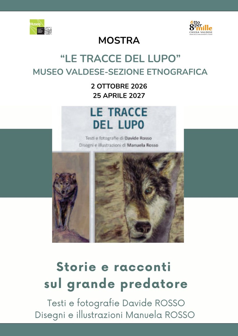 Le tracce del lupo