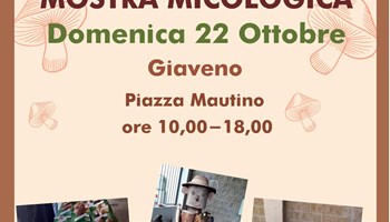 Giaveno, Fungo in Festa domenica 22 ottobre. 42 ª edizione per la fiera dedicata ai boleti, con il ritorno del Palafungo 