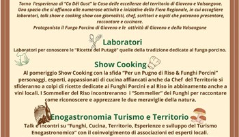 Giaveno, Fungo in Festa domenica 22 ottobre. 42 ª edizione per la fiera dedicata ai boleti, con il ritorno del Palafungo 