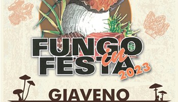 Giaveno, Fungo in Festa domenica 22 ottobre. 42 ª edizione per la fiera dedicata ai boleti, con il ritorno del Palafungo 