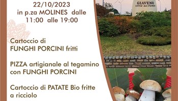 Giaveno, Fungo in Festa domenica 22 ottobre. 42 ª edizione per la fiera dedicata ai boleti, con il ritorno del Palafungo 