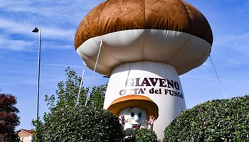 Domenica 13 ottobre la Fiera del Fungo di Giaveno