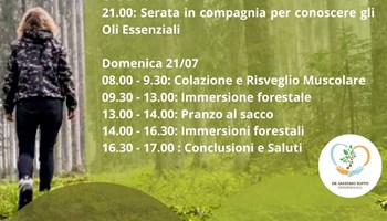 FOREST BATHING: dal 20 al 21 luglio