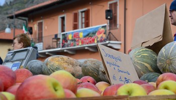 Mela Caprie Domenica 10 novembre 2024 "Mela e dintorni" a Caprie