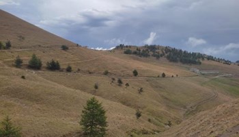 ESCURSIONE CON LA COMUNITA' CUSTODE “PRATERIE E ORCHIDEE, ROCCIAMELONE”