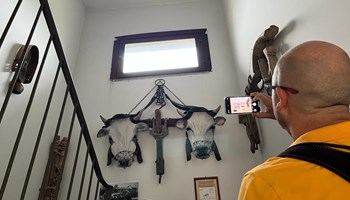 Museo il Vomere Drubiaglio - doppio giogo completo "Il Vomere", un ecomuseo in frazione Grangia ad Avigliana