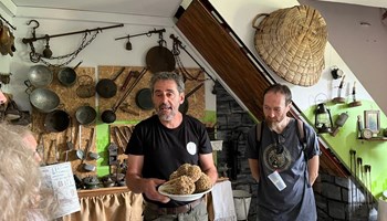 Museo il Vomere Drubiaglio - fiori di cipolla "Il Vomere", un ecomuseo in frazione Grangia ad Avigliana