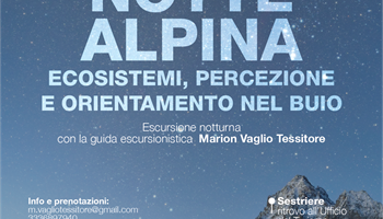 Notte Alpina. Ecosistemi, percezione e orientamento nel buio 