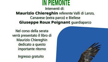 Il ritorno del gipeto in Piemonte