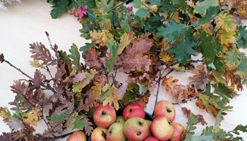 Festa d'Autunno e della Pômâ dë Vëno 2026