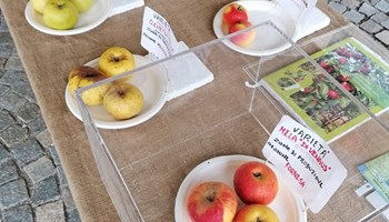 Festa d'Autunno e della Pômâ dë Vëno 2026