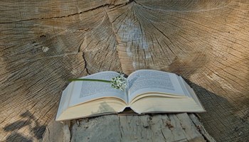 Letture ad alta voce 2026
