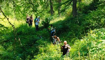 I giovedi dell'avventura