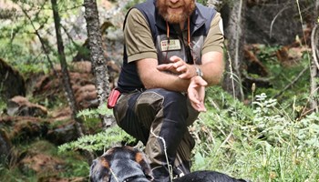 Il fedele compagno del guardiaparco: il cane da traccia